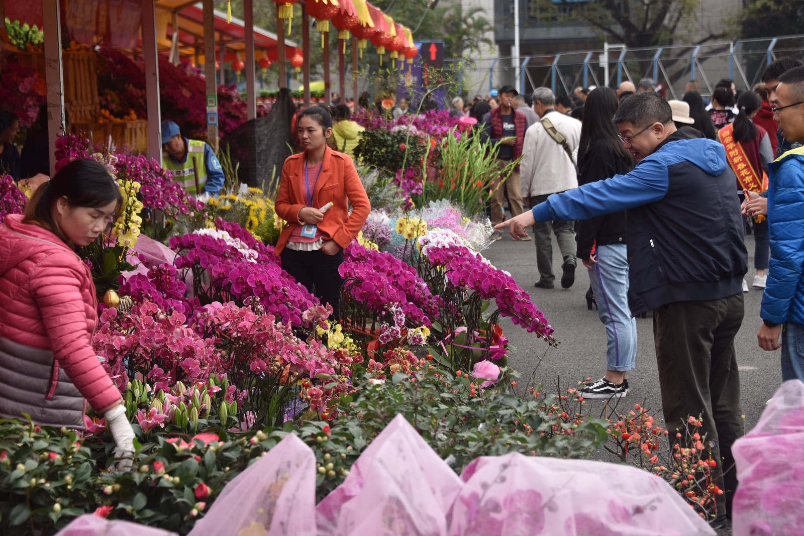 湘桥区：花卉市场年味浓 姹紫嫣红迎新年 - 潮州市湘桥区人民政府网站